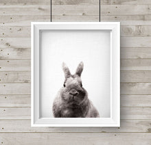Load image into Gallery viewer, lil' darling bunny print