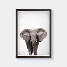 Load image into Gallery viewer, lil' darling elephant print