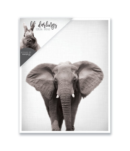 lil' darling elephant print