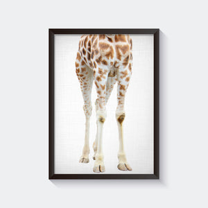 lil' darling giraffe legs print